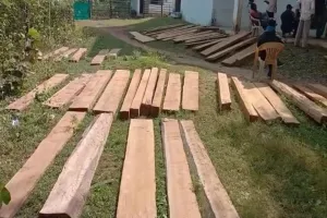 खटीमा: वन विभाग ने पकड़ी सेमल की चिरान हुई लकड़ी, वाहन सीज