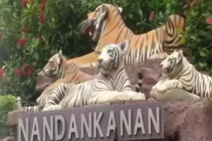 ओडिशा: नंदनकानन चिड़ियाघर में दुबई से लाए जाएंगे शेर, चीते और अन्य जीव जंतु