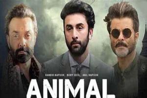 Animal Box Office Collection : 'एनिमल' ने मचाया भौकाल, फिल्म की जबरदस्त सफलता मिलने से इमोशनल हुए बॉबी देओल