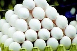 बरेली: सर्दी बढ़ते ही अंडों के दामों में आई गर्मी...30 प्रतिशत तक उछली कीमत, हैदराबादी अंडे की सबसे ज्यादा डिमांड