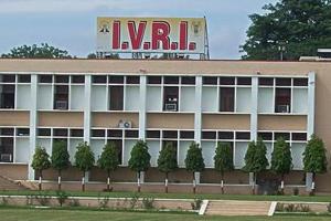 आईवीआरआई: बैक्टीरियोलॉजिकल प्रयोगशाला से एशिया का सर्वश्रेष्ठ पशु चिकित्सा संस्थान बनने का सफर