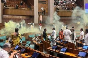 संसद की सुरक्षा में चूक, कार्यवाही के दौरान दर्शक दीर्घा से कूदे दो लोग, फैलाया धुंआ