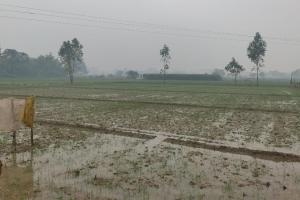 रायबरेली: बारिश ने बदला मौसम, सर्दी के साथ पड़ेगा पाला 