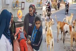 रामपुर: तीन साल के मासूम को कुत्तों ने नोचा, सर्जरी कर लगाने पड़े टांके