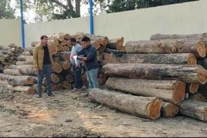 खटीमा: परमिशन 30 की पेड़ काट दिए 80, एसडीएम ने की कारवाई