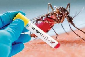 श्रीलंका में डेंगू के 5000 से अधिक मामलों की पुष्टि, 57 की मौत 