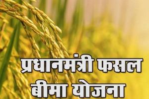 शाहजहांपुर: 4380 किसानों ने कराया फसल बीमा, 128 को मिलेगा लाभ, जिले में योजना की दुर्दशा