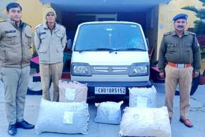 अल्मोड़ा: मारूति वैन से बरामद किया लाखों रुपये का गांजा