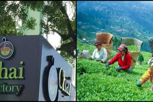 गरमपानी: बेतालघाट में चाय फैक्ट्री की उम्मीदों को लगने लगे पंख