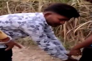 Video: अंबेडकरनगर में दलित युवक पर दबंगों ने बरपाया कहर, गाली-गलौज करते हुए असलहे के बल पर जमकर पीटा
