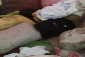 बहराइच: ग्रामीण के मकान से हजारों की चोरी, पीड़ित ने थाने में दी तहरीर