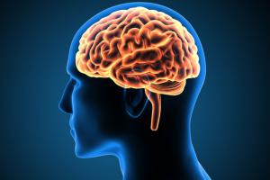 न्यूरालिंक ने पहली बार मानव मस्तिष्क में अपनी चिप प्रतिरोपित की, क्या गड़बड़ियां हो सकती हैं? 