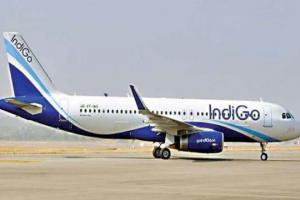 कोहरें का विमान सेवाओं पर ब्रेक,12 उड़ानें हु़ई लेट,लखनऊ एयरपोर्ट पर यात्री रहे परेशान