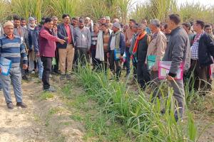 शाहजहांपुरः किसानों ने सीखी गन्ने की बसंतकालीन बुवाई और सहफसली खेती, 100 किसानों को दिया गया प्रशिक्षण