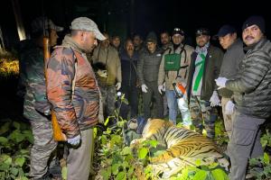 रामनगर: देर रात पकड़ा गया आदमखोर बाघ,  ग्रामीणों ने ली राहत की सांस    