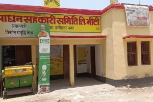 आज से शुरू होगी गेहूं की खरीद, अंबेडकरनगर में बनाए गए 81 क्रय केंद्र, 2510 किसानों ने कराया पंजीकरण
