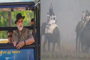 सुबह-सुबह काजीरंगा उद्यान में सैर पर निकले PM मोदी, हाथी और सफारी का उठाया लुत्फ 