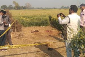 Fatehpur Murder: अधेड़ की सिर कूंचकर हत्या...रहसलीला देखने घर से निकला, आई मौत की खबर, घटनास्थल से ये सामान हुआ बरामद