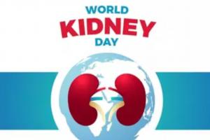 World Kidney Day 2024: आज है विश्व किडनी दिवस, जानें कैसे रखें किडनी को स्वस्थ