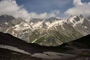 नैनीताल: हिमालय में जलस्रोतों के पास मिले औषधीय गुणों से भरपूर दो कवक,  उर्वरक क्षमता व जैविक खाद बनाने में होंगे सहायक 