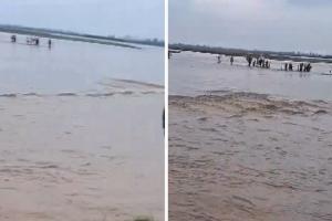 बिजनौर : बारिश के चलते खो नदी का जलस्तर बढ़ा, आवागमन बंद...देखें VIDEO