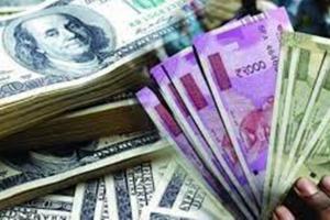Farrukhabad News: उड़नदस्ते ने बैंककर्मी से 2 लाख की पकड़ी नकदी...लोकसभा चुनाव को लेकर हो रही चेकिंग