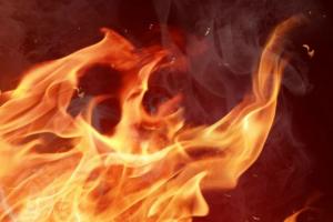 Bareilly News: 50 बीघा से अधिक गेहूं जलने के बाद विभाग को आई बचाव की याद
