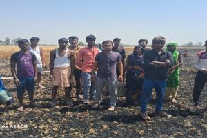 बहराइच: किसानों की मेहनत पर आग ने फेरा पानी,150 बीघा गेहूं की फसल राख