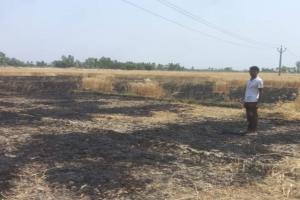 बाराबंकी: शार्ट सर्किट से खेत में लगी आग, गेंहू की फसल जलकर राख   