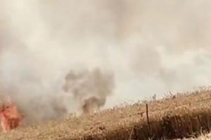 श्रावस्ती में आग का कहर, 23 बीघा गेहूँ की फसल जली