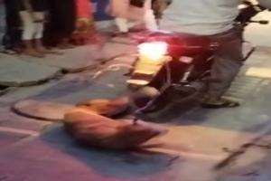 Video: लखनऊ में दम्पति ने स्ट्रीट डॉग को खम्भे से बांधकर पीटा, तोड़ डाला पैर-चिल्लाता रहा बेजुबान, बाइक पर दूर तक घसीटा  