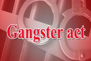 कासगंज: गिरोह बनाकर अपराधिक घटनाओं को दे रहे थे अंजाम, पांच को पुलिस ने गैंगस्टर में किया निरुद्ध  