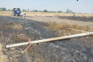 पीलीभीत: कंबाइन की टक्कर से खेत में गिरा पोल, तीन एकड़ फसल जलकर राख