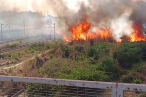 Kanpur में तीन जगह आग लगने से मची अफरा-तफरी...दादानगर रेलवे ट्रैक किनारे झाड़ियों से उठने लगी लपटें, रोकी गई ट्रेनें