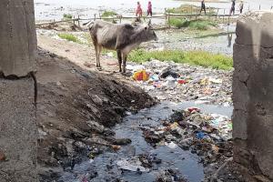 मुरादाबाद : रामगंगा हो रही मैली, गिर रहा शहर के नालों का गंदा पानी...जिम्मेदार हैं मौन