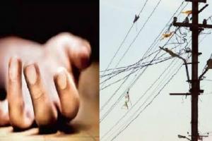 रायबरेली: बिजली फाल्ट सही कर रहे लाइनमैन की करंट से मौत