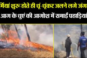 अल्मोड़ा: गर्मियां शुरू होते ही धूं-धूंकर जलने लगे जंगल, आग के धुएं की आगोश में समाईं पहाड़ियां