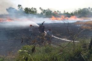 बाराबंकी: एचटी लाइन से निकली चिंगारी से गेहूं की दो बीघा फसल जलकर राख 