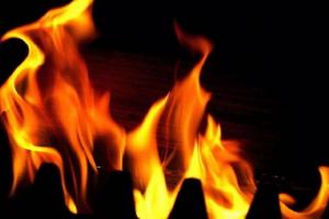 Kanpur Fire: आग से जलकर मवेशी की मौत; बचाने गया किसान बुरी तरह झुलसा, ग्रामीणों में आक्रोश