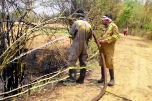Mahoba Fire: फसल को आग से बचाने के चक्कर में किसान की जिंदा जलकर मौत; परिजनों में मचा कोहराम