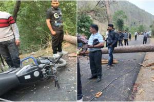 देहरादून: आंधी में गिरे पेड़ की चपेट में आने से बाइक सवार दो लोगों की मौत