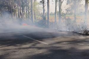 मुरादाबाद: मार्गों के किनारे पेड़-पौधों में धधक रही आग, वन विभाग बेखबर