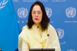 भारत ने यूएनजीए में पाकिस्तान को लगाई लताड़ा, सबसे संदिग्ध 'ट्रैक रिकॉर्ड' वाला देश बताया 