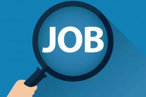 Jobs 2024: हाईकोर्ट में निकली बंपर वैकेंसी, जल्द करें आवेदन 