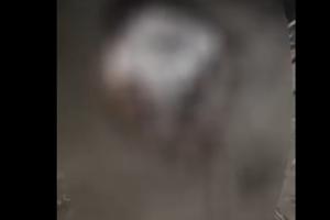 बहराइच: दुष्कर्म के आरोपी को गांववालों ने निर्वस्त्र कर बैलगाड़ी से बांधा पीटा, गांव में पुलिस बल तैनात 