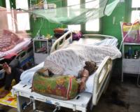 बरेली: अब तक डेंगू के मिले 330 मरीज, देहात क्षेत्र में सबसे अधिक प्रकोप